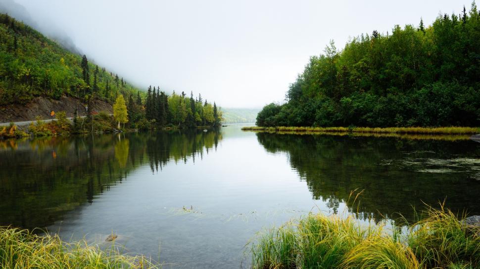 Free Image of Serene lake surrounded by trees and greenery in mist 