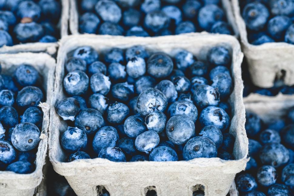 Free Image of Fresh blueberries in basket at market with natural light. 