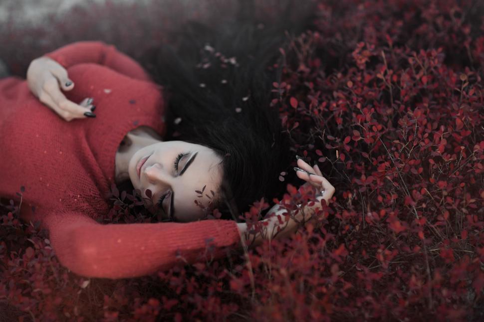 Free Image of Woman in red sweater lying on red shrub bed, eyes closed 