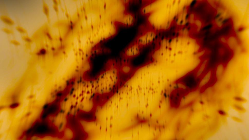 Free Image of Abstract fiery backdrop with black and orange splashes. 