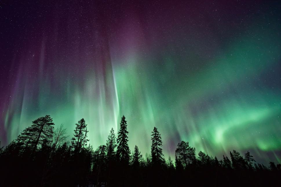 Free Image of Vibrant Northern Lights over a forest in the night. 