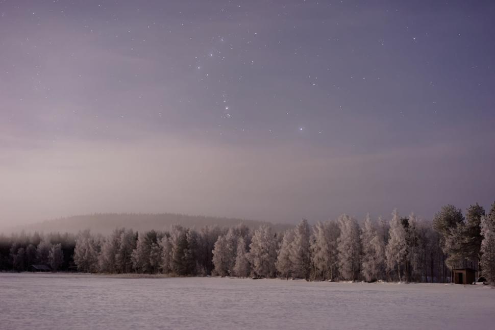 Free Image of Winter scenery with snow-covered trees at night. 