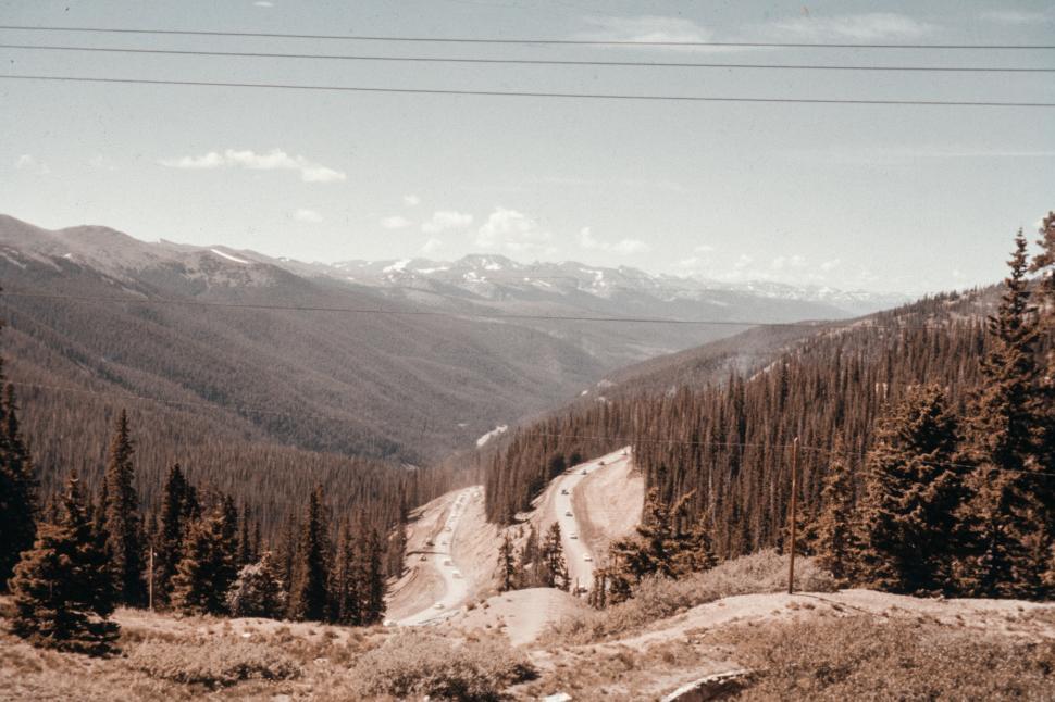 Free Image of Mountain road between pine trees stretching to horizon 