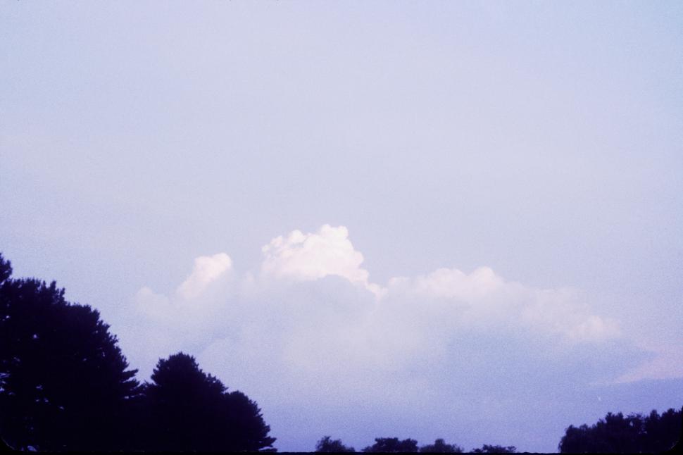 Free Image of Purple clouds illuminated by a setting sun over trees 