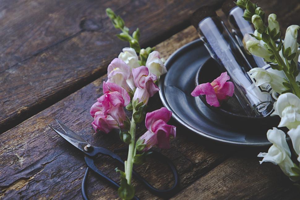 Free Image of Pink and white flowers with laboratory glassware on table. 