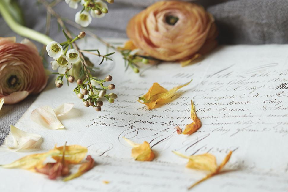 Free Image of Romantic styled letter surrounded with flowers and leaves. 