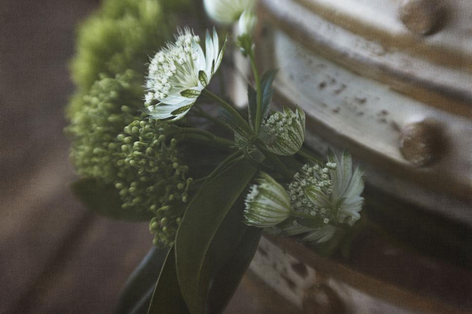 Free Image of Vase filled with green and white flowers on a dark surface. 