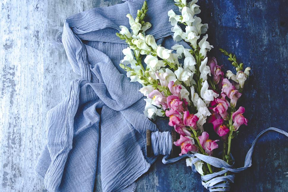 Free Image of Pink and white flowers on a textured blue background. 