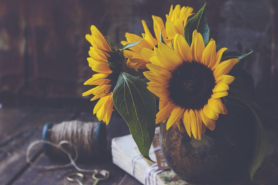 Free Image of Sunflowers in a vase with twine and book edges. 