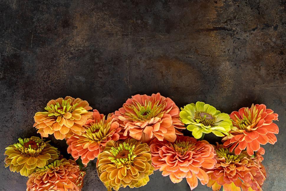 Free Image of Orange and green flowers on textured dark background 