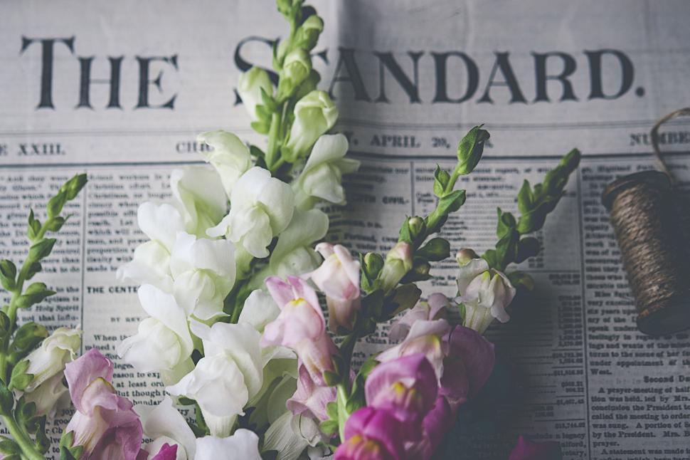 Free Image of White and pink flowers on newspaper The Standard 