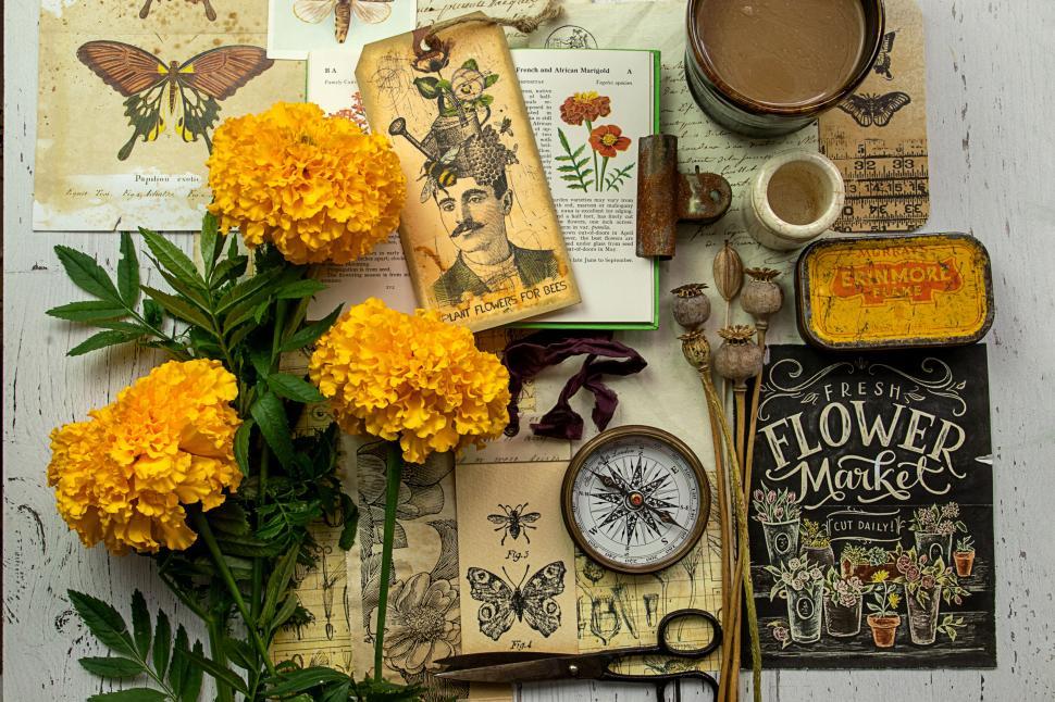 Free Image of Colorful arrangement of flowers and vintage items. 