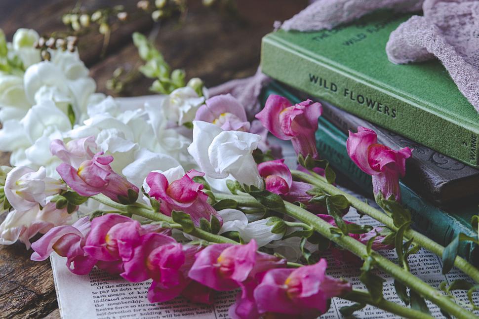 Free Image of Pink and white flowers with books on wooden table. 