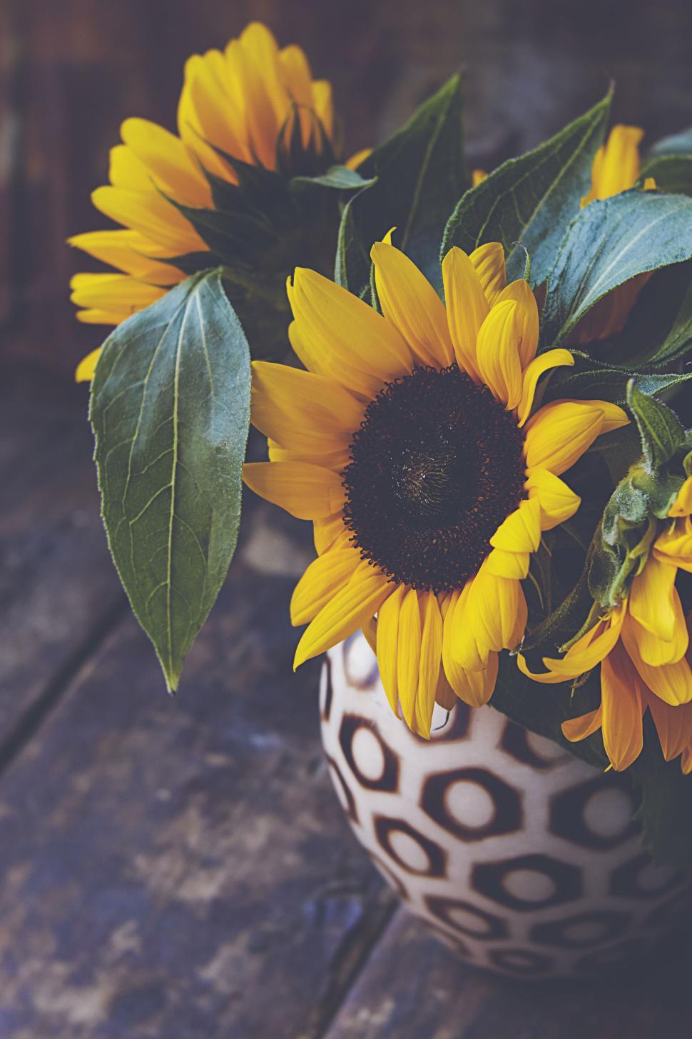 Free Image of Sunflowers in a patterned vase with rustic background. 
