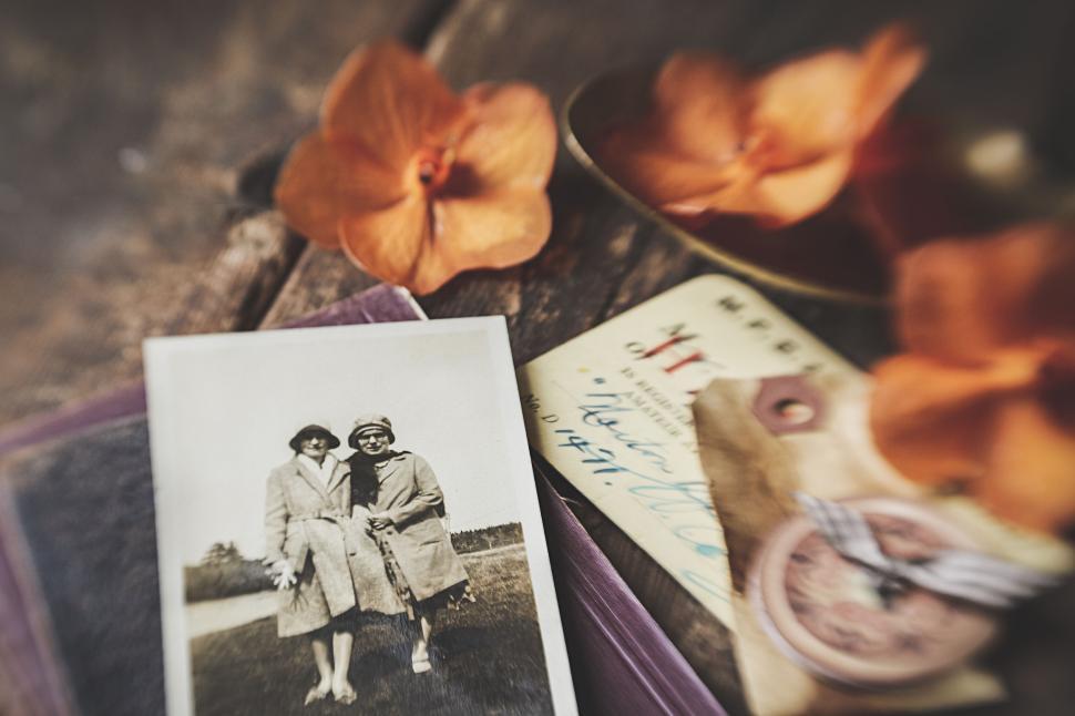 Free Image of Vintage black and white photo with orange flowers. 