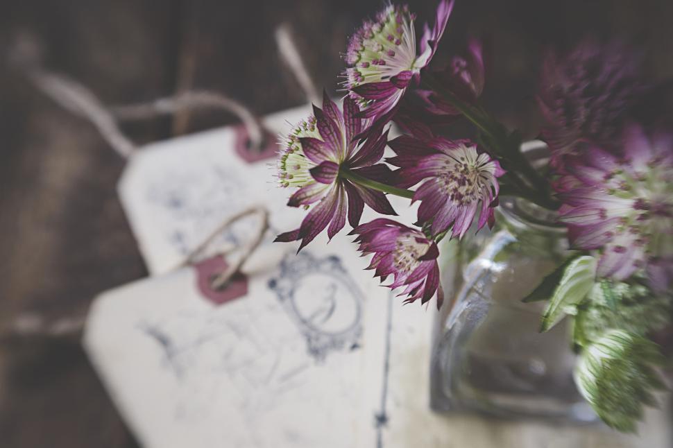 Free Image of Purple flowers in glass vase with vintage letters nearby 