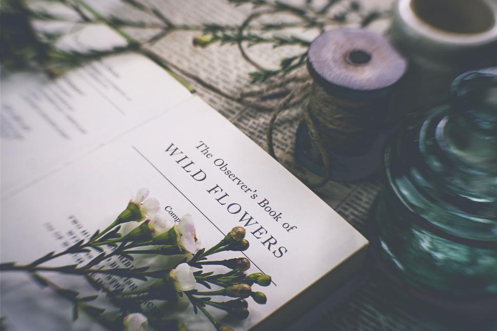 Free Image of Open book of wild flowers with craft items on a table 