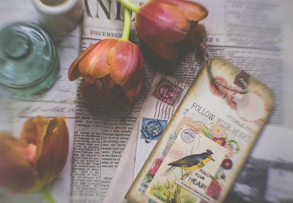 Free Image of Tulips with vintage postcards and calligraphy on paper. 
