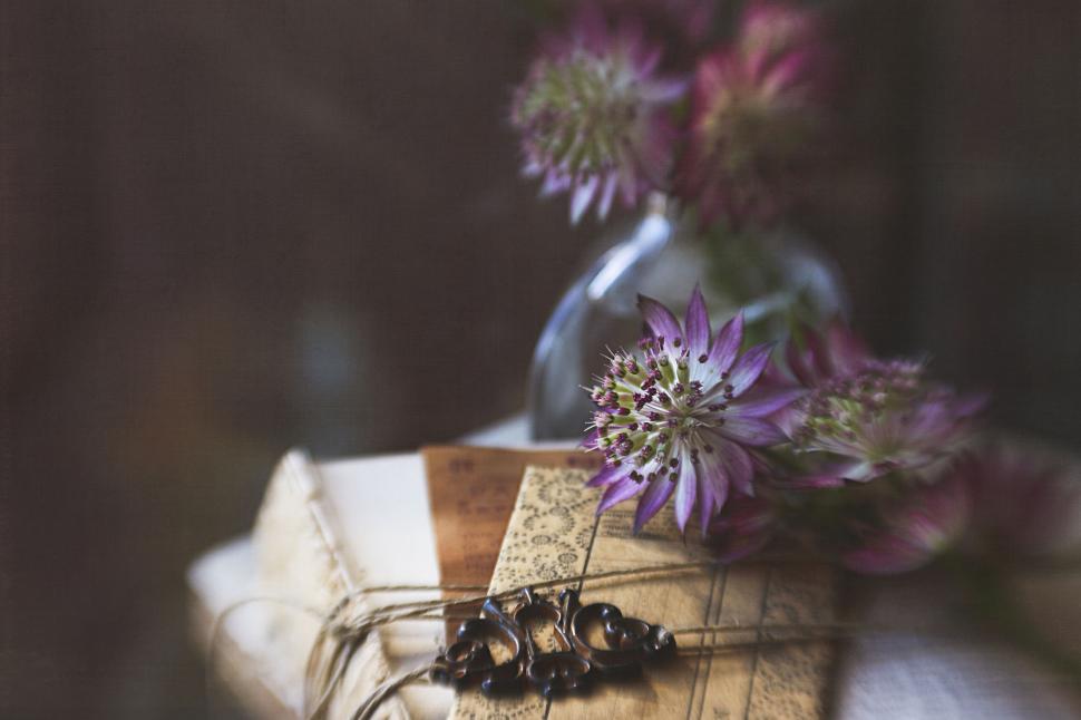 Free Image of Vintage books with flowers in glass vase arrangement 