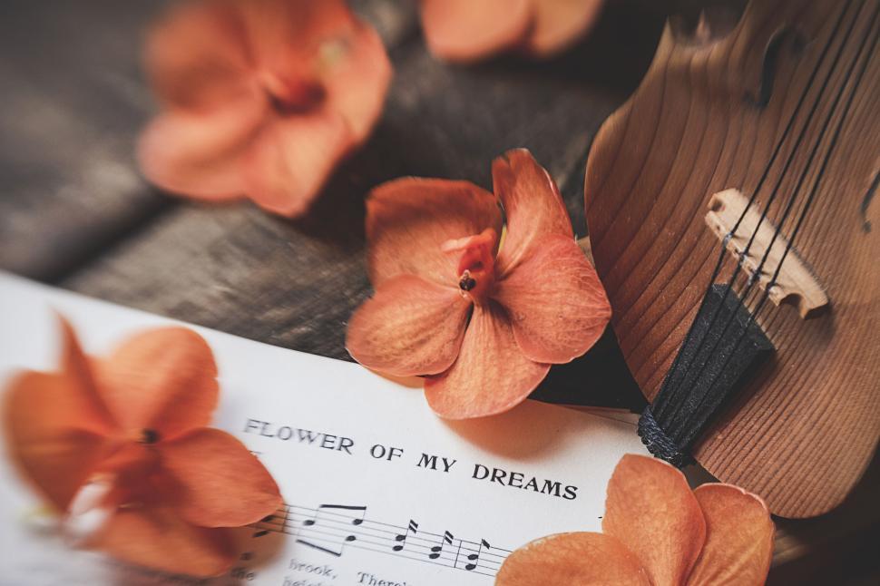 Free Image of Elegant sheet music with orange flowers and violin 