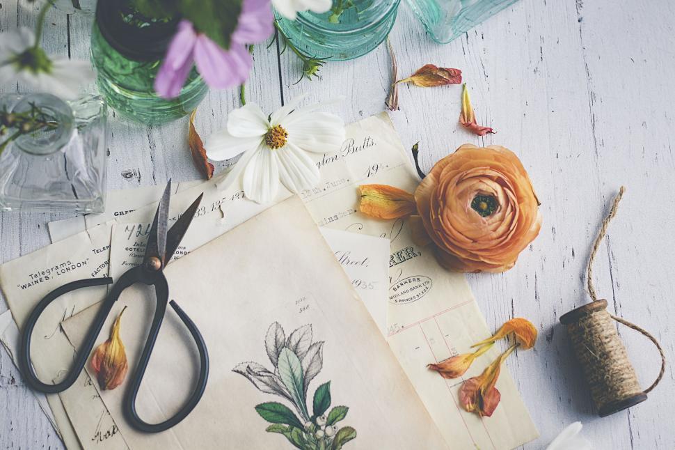 Free Image of Botanical illustrations with flowers and scissors 