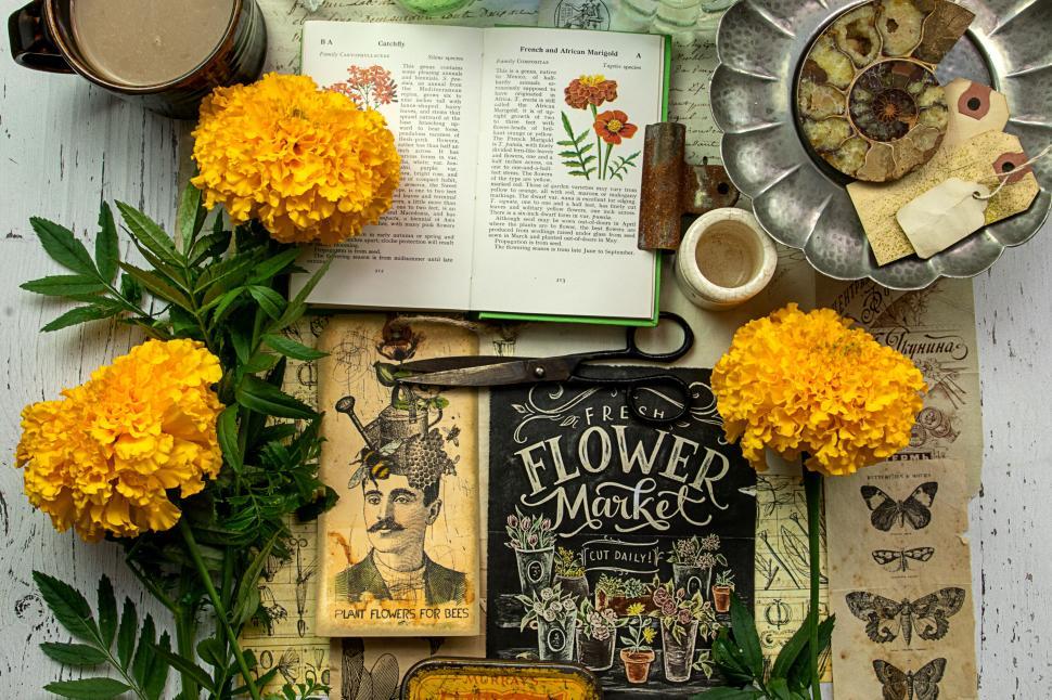 Free Image of Botanical books with marigold flowers and vintage items. 