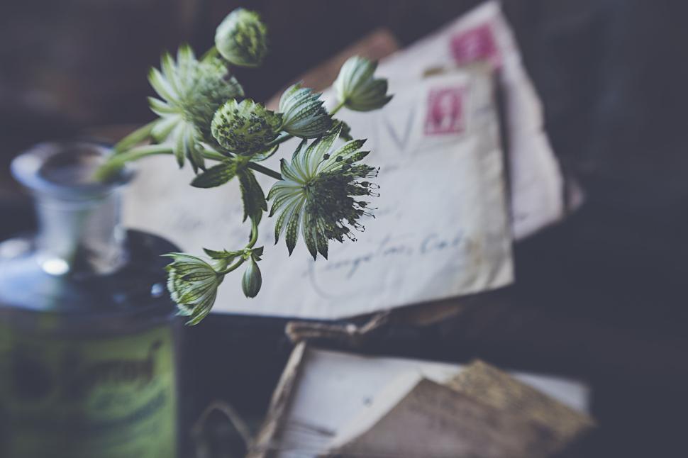 Free Image of Vintage letters with green flowers in glass bottle 