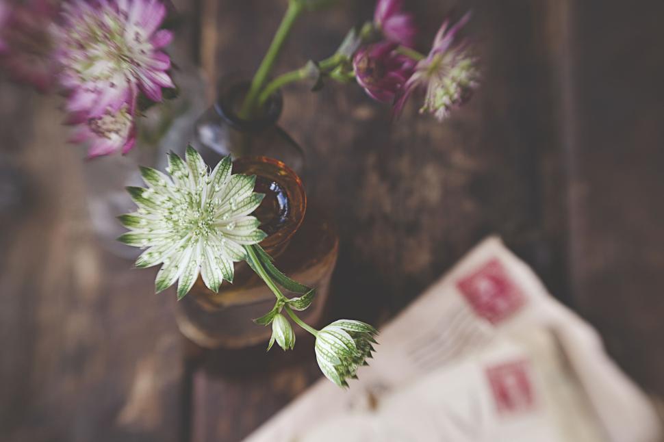 Free Image of Antique letters with flowers in glass bottle on table 