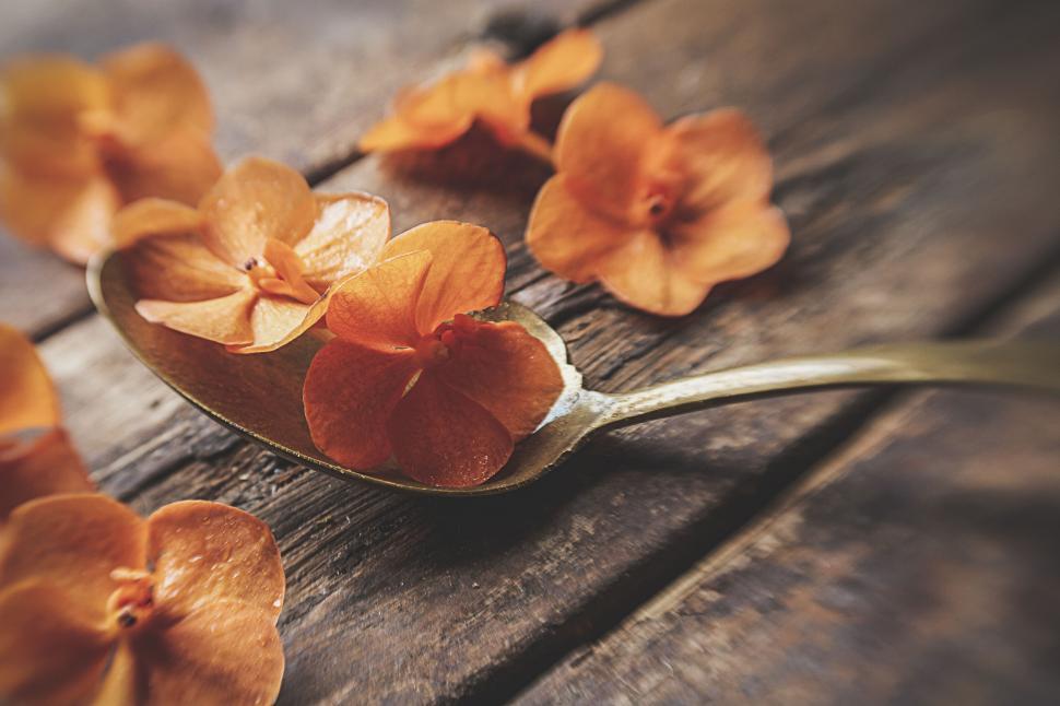 Free Image of Orange flowers on a spoon resting on wooden surface. 