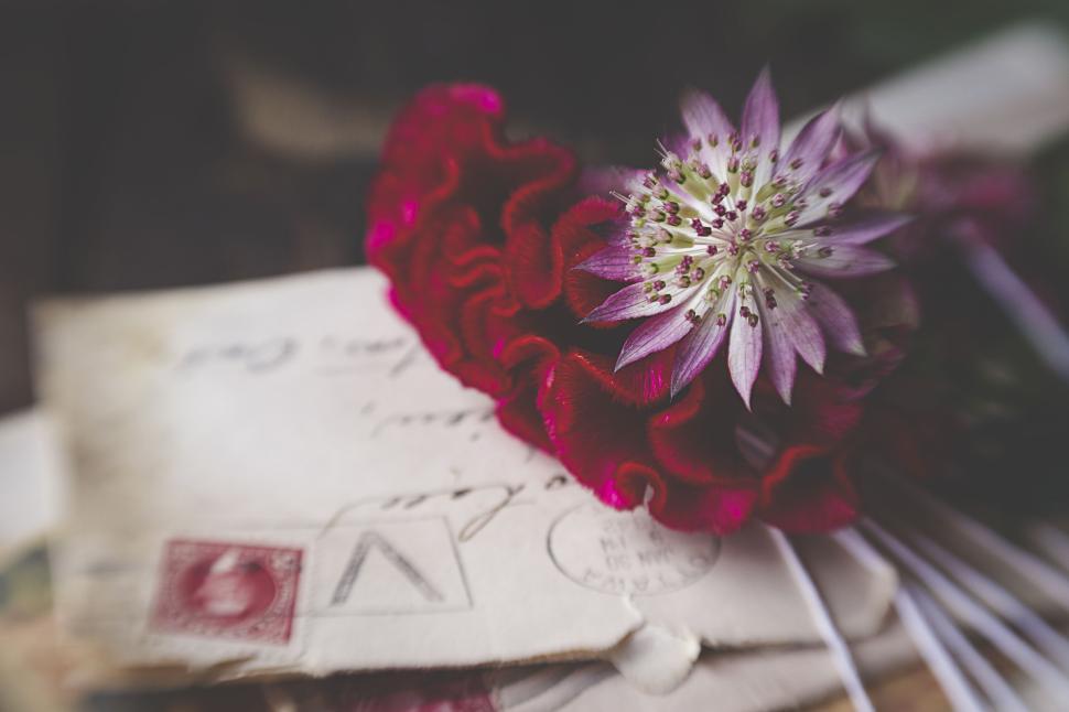 Free Image of Red and pink flowers on old letters with a stamp. 