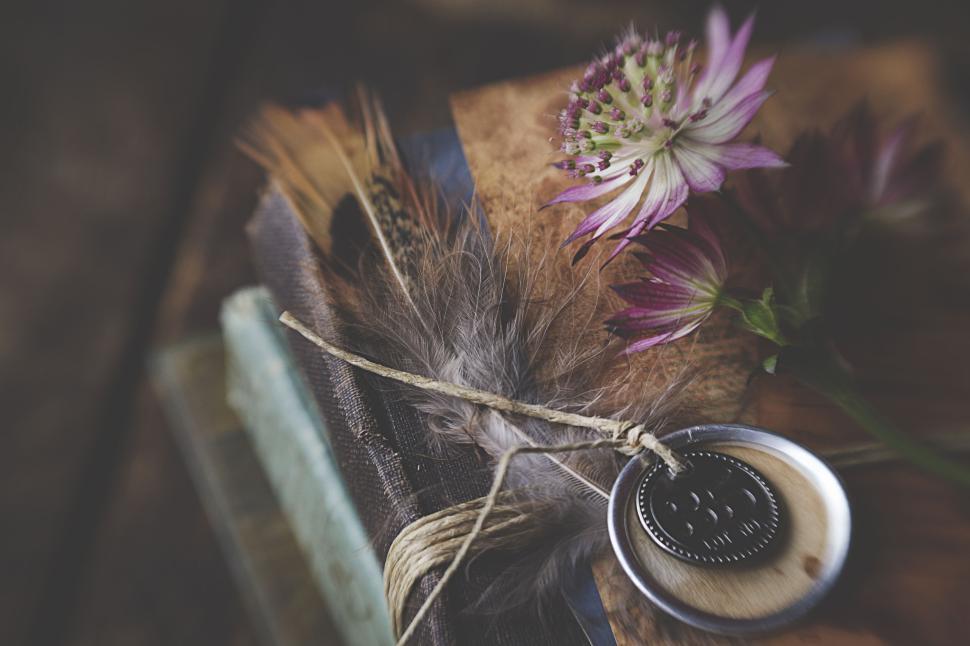 Free Image of Feathers, flowers, and vintage medallion on rustic book 