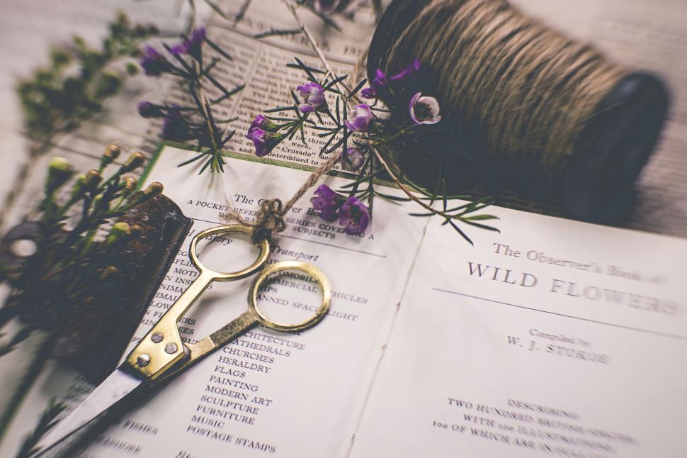Free Image of Book on wild flowers with scissors and twine on top 