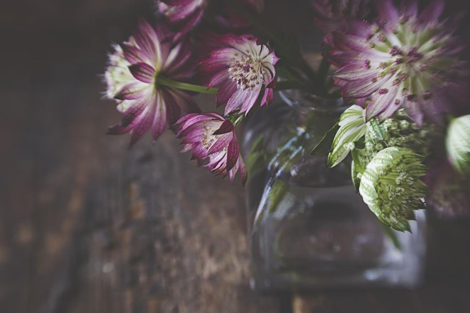 Free Image of Pink and green flowers in glass vase on wooden table 