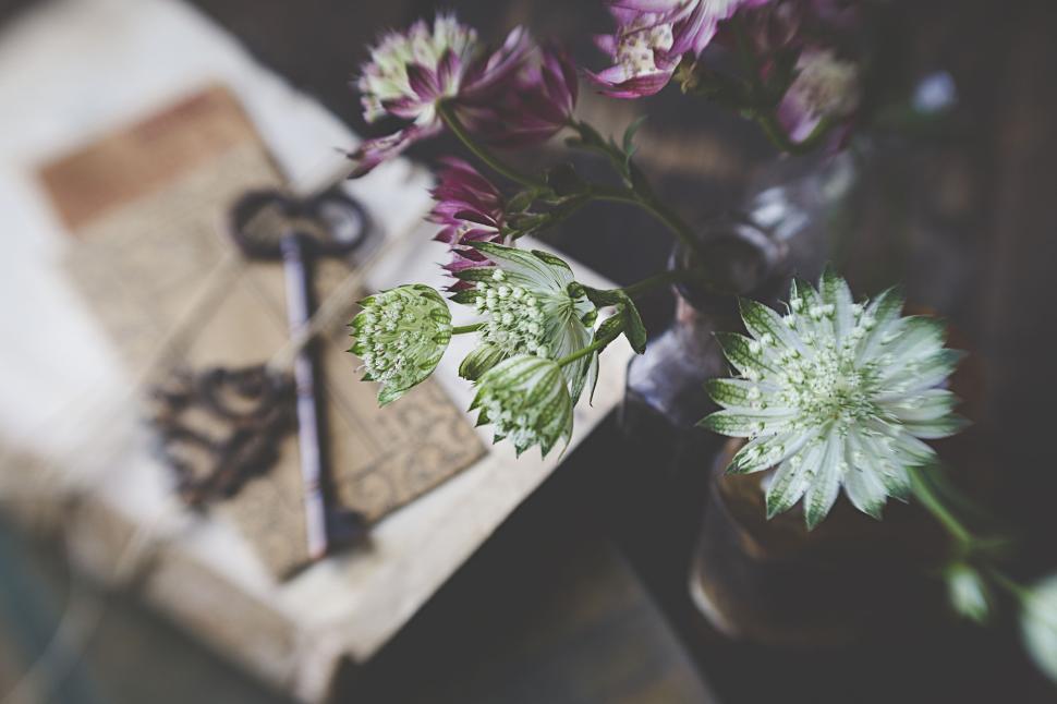 Free Image of Rustic keys, pen, and floral arrangement close-up 