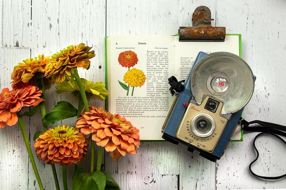 Free Image of Zinnias, open book, vintage camera on wooden table. 