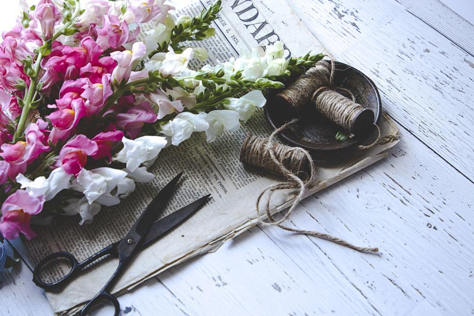 Free Image of Pink and white snapdragons, scissors, string on paper. 