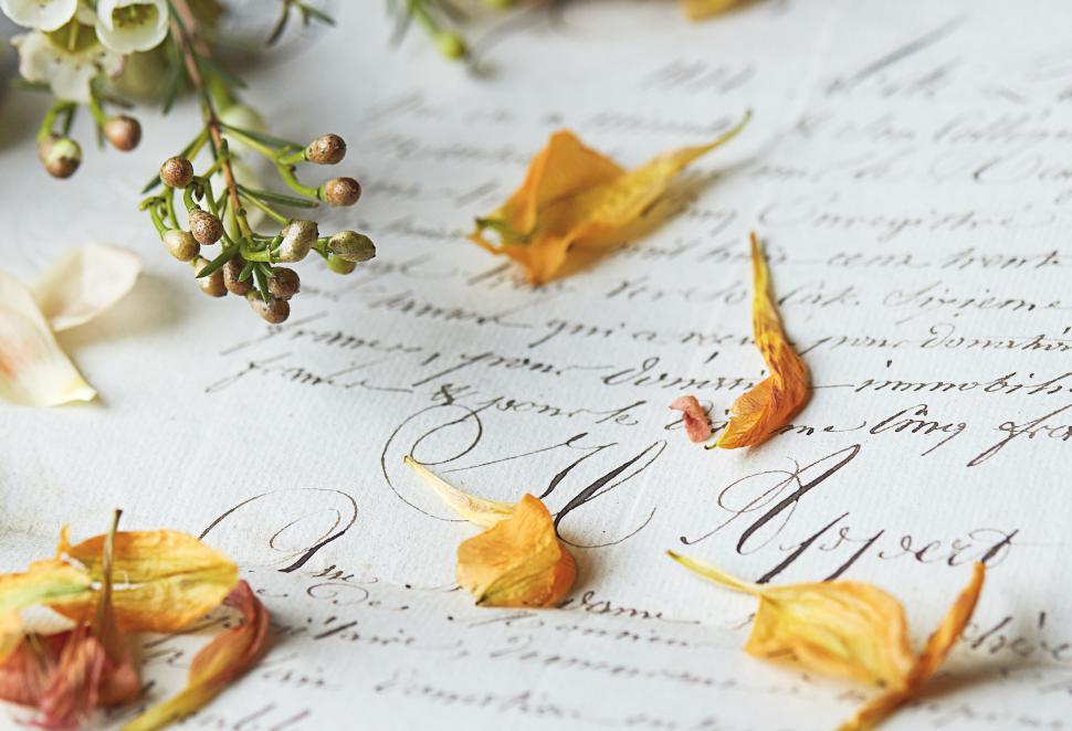 Free Image of Pressed flowers and leaves on vintage handwritten letter 