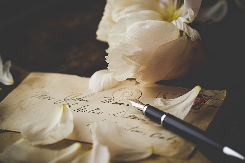 Free Image of A vintage letter with petals and a fountain pen 