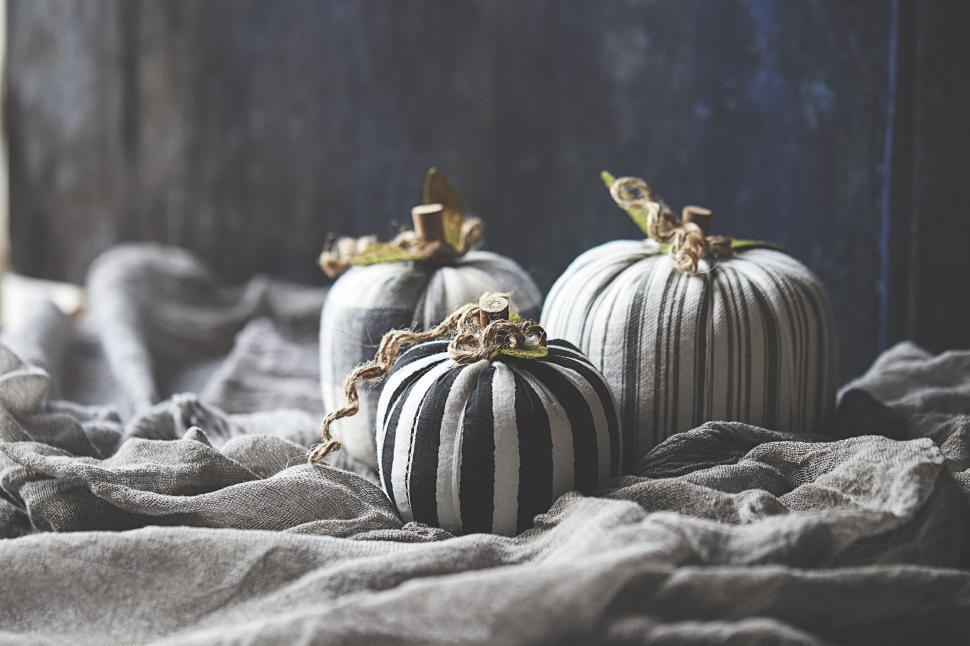 Free Image of Stylish decorative pumpkins on a gray cloth backdrop 