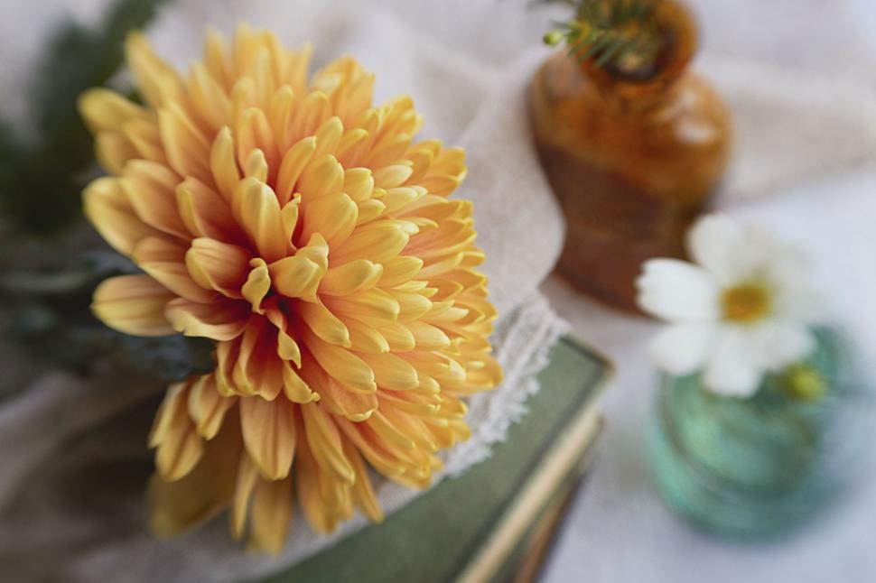 Free Image of An orange flower and a small flower in glass bottle 