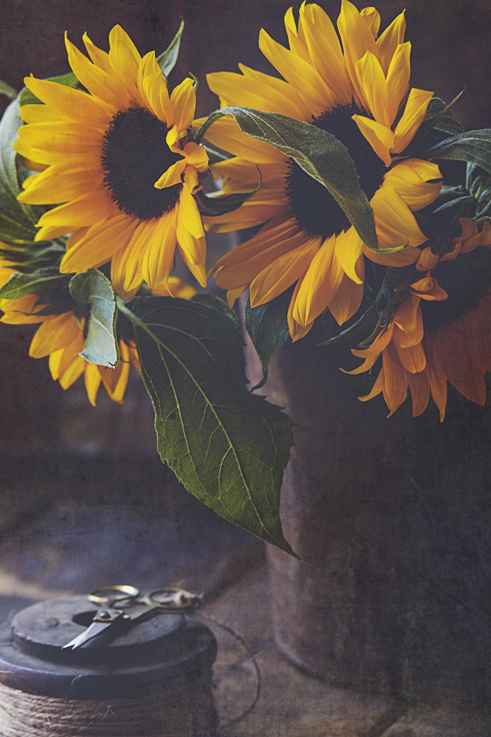 Free Image of Vibrant sunflowers in a rustic vase with spool visible 