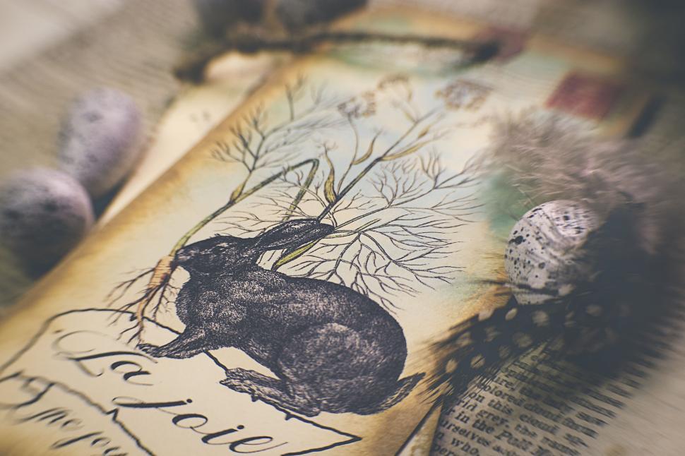 Free Image of Vintage illustration with rabbit and eggs nearby. 