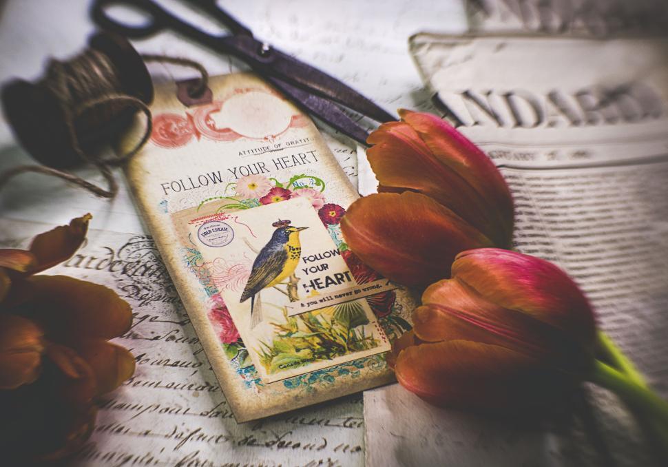 Free Image of Vintage-Inspired Artistic Arrangement with Flowers 