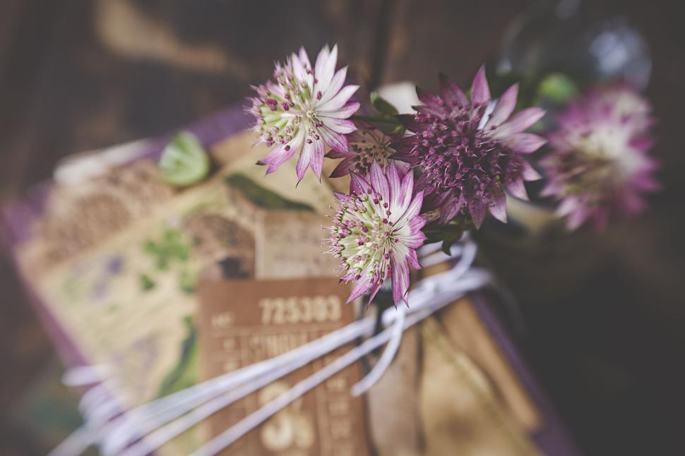 Free Image of Elegant Pink Flowers Over Rustic Wrapped Gifts 
