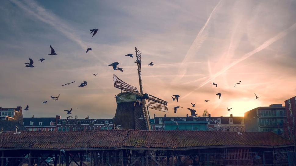 Free Image of Windmill silhouette against sunrise with birds flying 