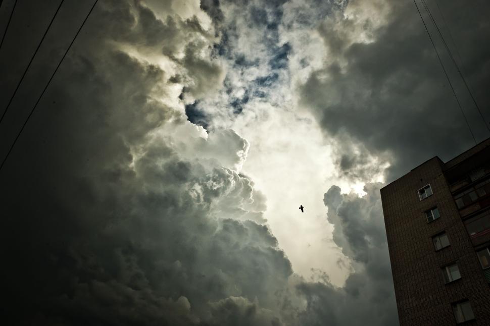 Free Image of Dramatic storm clouds with bird flying in the sky 