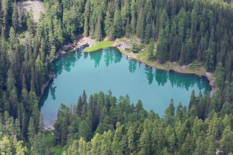 Free Image of Serene turquoise lake surrounded by lush green forest 