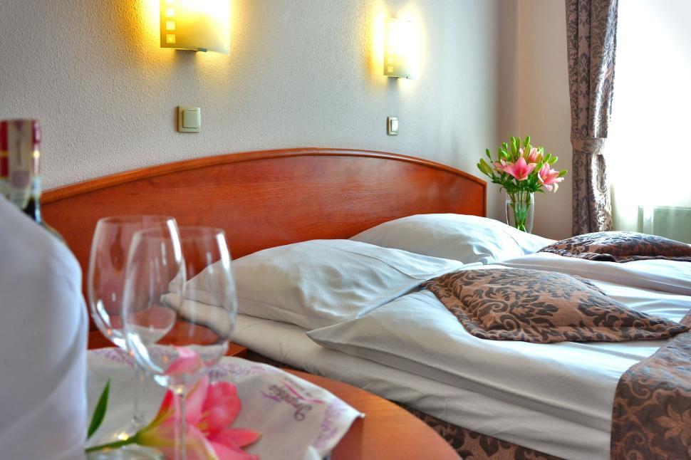 Free Image of Cozy hotel room with flowers and modern lighting setup. 