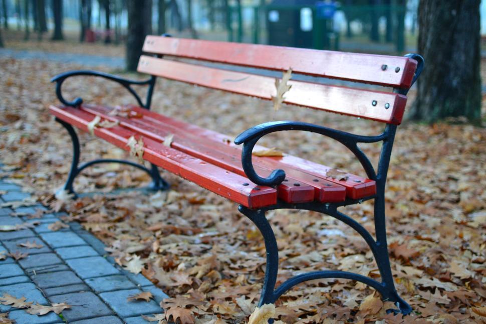 Free Image of Red park bench with autumn leaves on ground around 