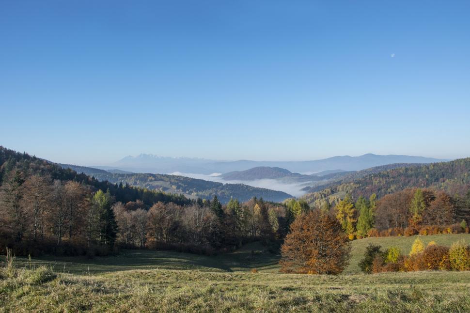 Free Image of Rolling hills with autumn foliage under clear sky 